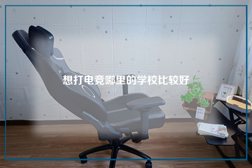 想打电竞哪里的学校比较好